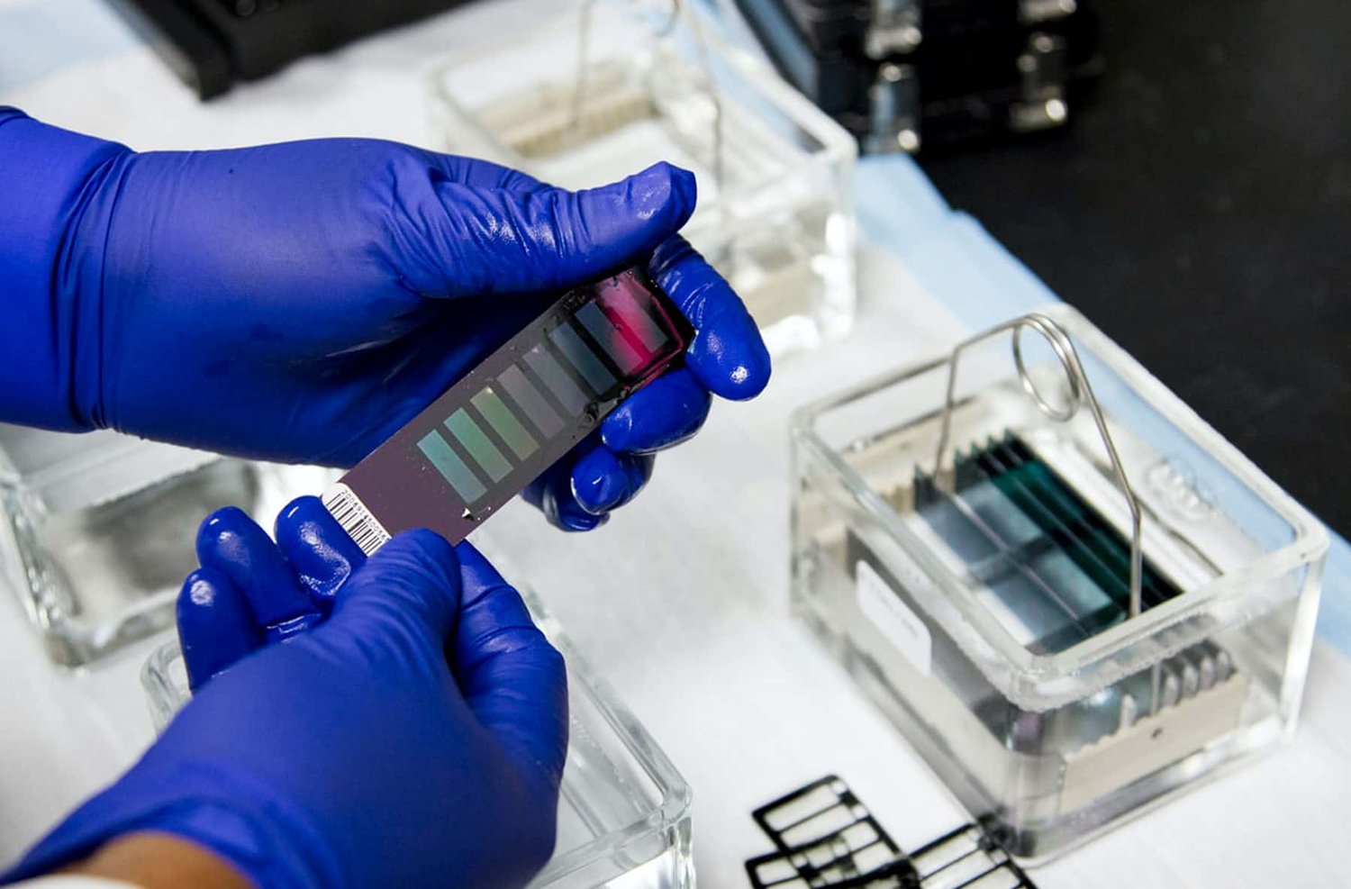 IQ, OQ, and PQ Validation: What You Need to Know