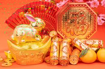 The Year of the Rabbit The Year of the Rabbit