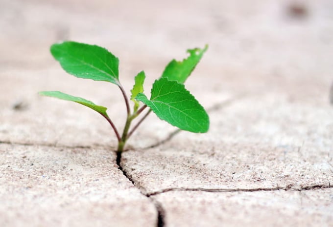 Protecting your Lab Facilities from Climate Change Protecting your Lab Facilities from Climate Change