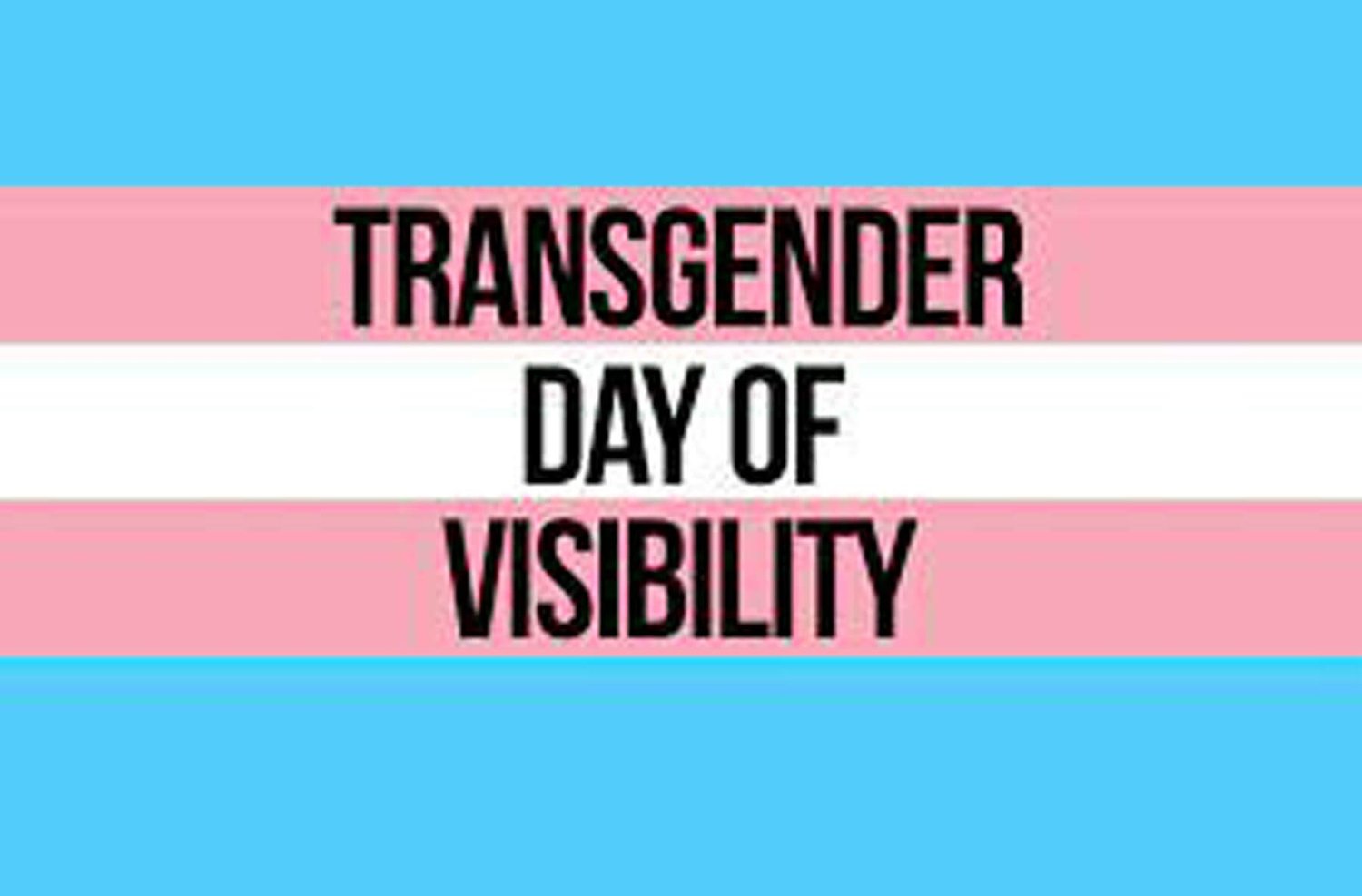 Trans Day of Visibility Banner