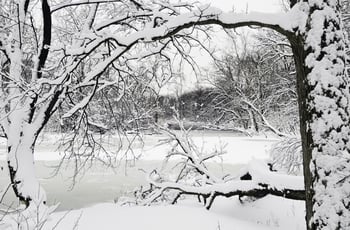 It’s Time to Winterize! It’s Time to Winterize!